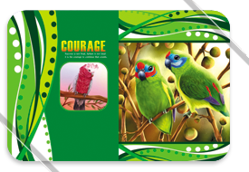 Exercise book Designs
